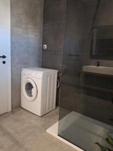 a washing machine in a bathroom with a shower at Apartmani Agard in Brodarica