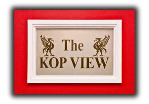 a framed picture of the top view with two phoenix illustrations at Kop View Rooms in Liverpool