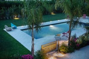 a swimming pool in a yard with a palm tree at Villa Scarpino in Massignano