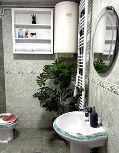 a bathroom with a sink and a mirror and a plant at Dubai Apartment I in Veternik