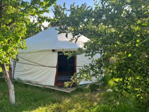 a white tent in the middle of some trees at Alima in Ottuk +11 photos