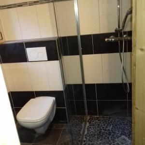 a bathroom with a toilet and a shower at Chalet Le Plan du Rtia in Morzine