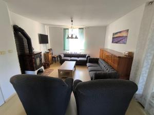 a living room with black furniture and a fireplace at Vila v Podkrušnohoří in Jirkov