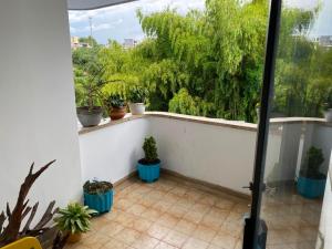 a balcony with potted plants on a white wall at Textileria in Pereira