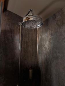 a bathroom with a shower with a shower head at Lintmill Lodges - Heather Shepherds Hut in Sorn