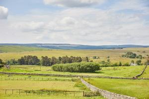 a green field with a stone fence and trees at Host & Stay - Thistle Cottage in Rochester