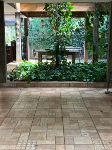 a tree in the middle of a courtyard with a bench at Zíngara - Kombi Home in Brumadinho +14 photos