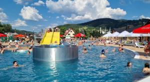 a crowd of people in the swimming pool at a resort at Chata u Bożeny in Muszyna