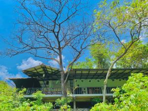 a green building with a tree in front of it at Cottage Wild Boar in Udawalawe
