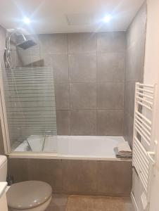 a bathroom with a bath tub and a toilet at Studio charmant in Sedan