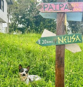 a dog laying in the grass next to a sign at Vereda San Jorge Chalet in Zipaquirá