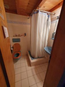 a bathroom with a toilet and a shower curtain at Sleep & Go - Sechsbettzimmer inkl 2 Luftbetten mit Gemeinschaftsbad in Sonthofen +8 photos