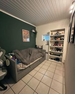 a bedroom with a bed with a green wall at Jimy Hendrickx in Boom