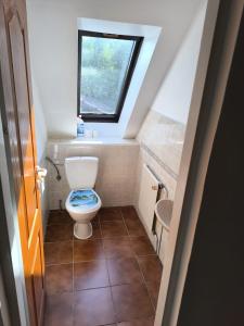 a small bathroom with a toilet and a window at Vila v Podkrušnohoří in Jirkov +10 photos