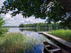 a dock on a lake with trees in the background at Kumpuolis LakeHouse in Degučiai