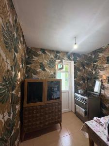 a kitchen with a tv and a stove at Elasia in Martvili +30 photos