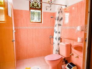a bathroom with a pink toilet and a sink at Ceylon Glory Hostel in Negombo +28 photos