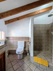 ein Badezimmer mit Toilette und Dusche in der Unterkunft Can Lluna in Tárbena