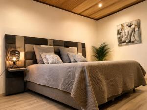 a bedroom with a large bed in a room at L'Escapade Volcanique in Sainte-Rose