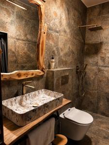 a bathroom with a stone sink and a toilet at Rrenjet - The Roots in Ersekë