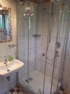 a bathroom with a shower and a sink at Ferienpark Schellbronn - Wolfseeweg 11 und Wolfseeweg 9 in Schellbronn