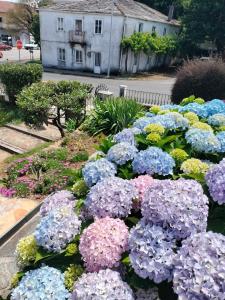 a bunch of purple and blue flowers in a garden at Casa Benaxo Ribeira Sacra in Currelos