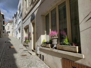 a street with potted plants on a window sill at Hotel de Montaulbain in Verdun-sur-Meuse