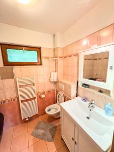 a bathroom with a sink and a toilet at Domek v údolí in Božanov