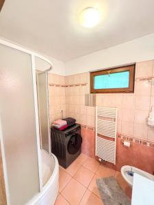 a bathroom with a shower and a toilet and a sink at Domek v údolí in Božanov