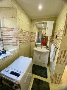 a bathroom with a sink and a toilet and a mirror at Apartmans Lars in Rečica ob Savinji +13 photos
