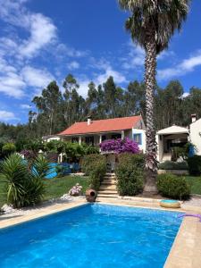 a house with a swimming pool and a palm tree at Quinta Inge in Paio Mendes