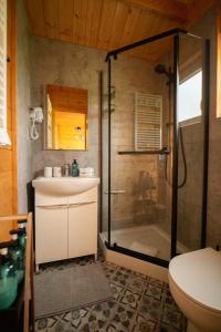 a bathroom with a shower and a sink and a toilet at Domki Pod Sudeckim Niebem in Duszniki Zdrój +87 photos