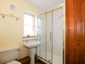 a bathroom with a toilet and a sink and a shower at Apartment 3 in North Lydbury