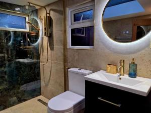 a bathroom with a toilet and a sink and a shower at Cabin39 in Barkingside +25 photos