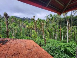 a porch with a view of a forest of palm trees at Shrunga Shreni Homestay - Near Bandaje trek and falls in Kalasa