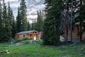 a log cabin in the woods with trees at Togwotee Mountain Lodge in Moran