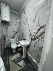 a bathroom with a toilet and a sink at Amir in Arkit