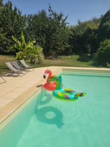 two rubber ducks floating in a swimming pool at Tente Lima in Ambillou-Château