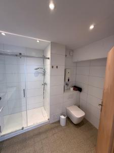 a white bathroom with a shower and a toilet at Das kleine Zuhause 1 in Bad Driburg