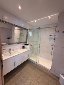 a bathroom with a glass shower and a sink at Das kleine Zuhause 1 in Bad Driburg