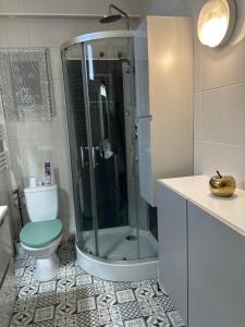 a bathroom with a shower and a toilet in it at Le Simplet in Perpignan