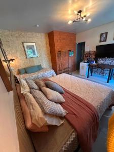 a bedroom with a large bed with pillows on it at Nonna Paulina in Timbó