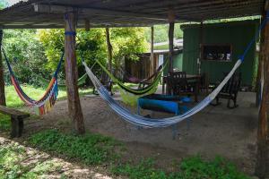 a couple of hammocks hanging from a pergola at Beach-Front Bungalow in El Gigante
