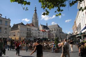 una multitud de personas caminando por una calle de la ciudad en Premiere Classe Hotel Breda, en Breda