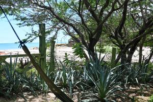 a fence and some plants next to a beach at Beach-Front Bungalow in El Gigante