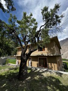 a tree in front of a house at Marvoi resort in Hunza Valley