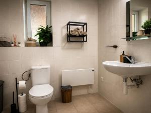 a bathroom with a toilet and a sink at Lesný Dvor Retreat in Spišské Bystré