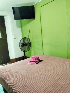 a bedroom with a bed with a fan on it at Hotel Antequera in Oaxaca City +27 photos