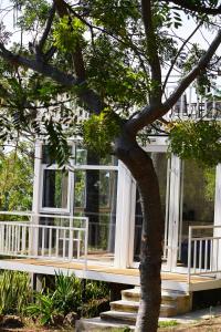 a house with a tree in front of it at Serenity Mezcala - Abitare in Isla de Mezcala