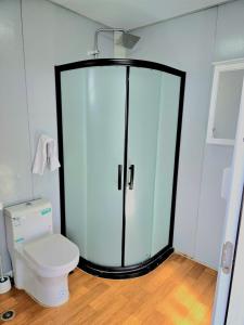 a bathroom with a glass shower and a toilet at Abitare Mezcala 1 in Isla de Mezcala
